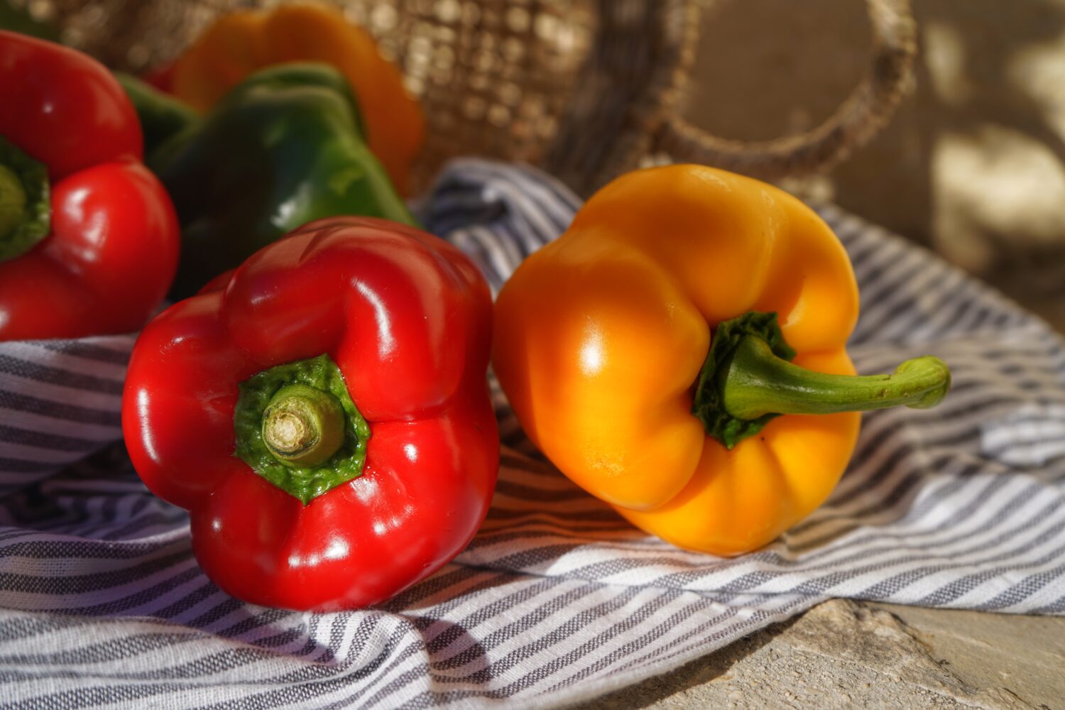 Болгарський перець