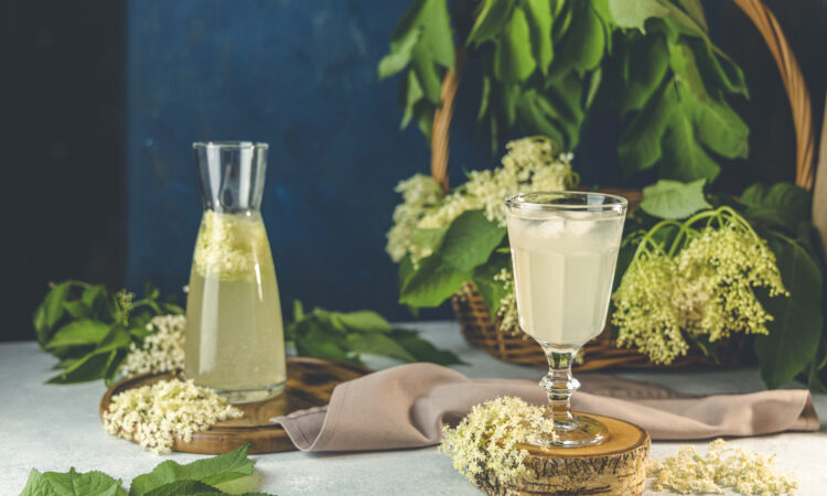 Квас из бузины