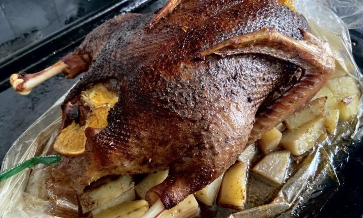 Качка з апельсинами