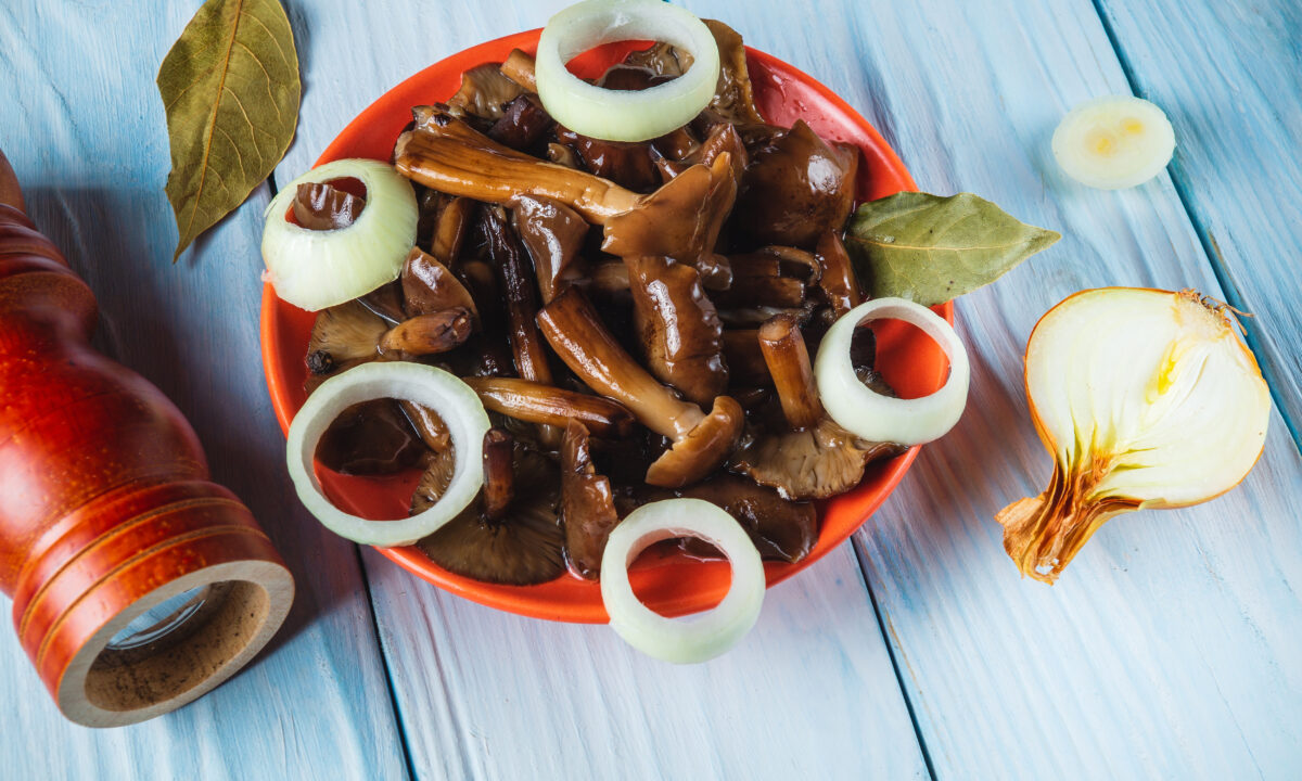 Соленые грузди: традиционный рецепт с ароматными специями