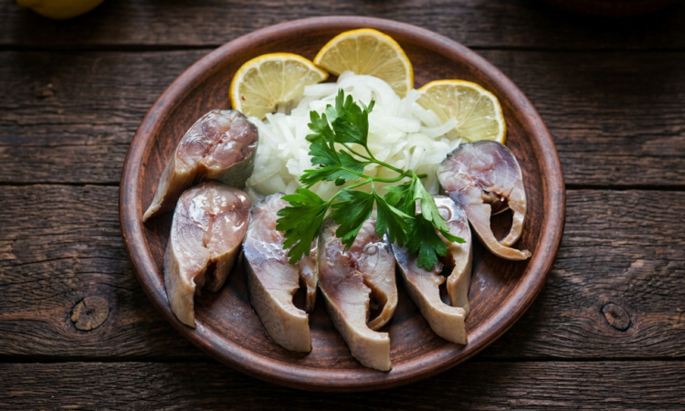 Оселедець з товстолоба